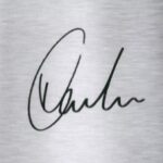 Roberto Firmino Signature Style