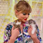 Taylor Swift With Her Pets